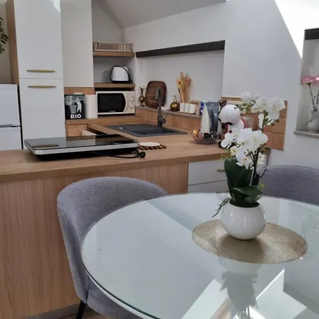 Apartament Apartma Katarina