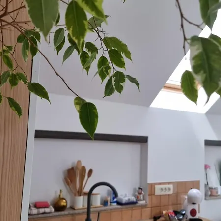 Apartma Katarina Apartamento Bled