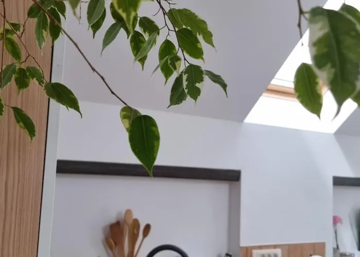 Apartma Katarina Apartamento Bled